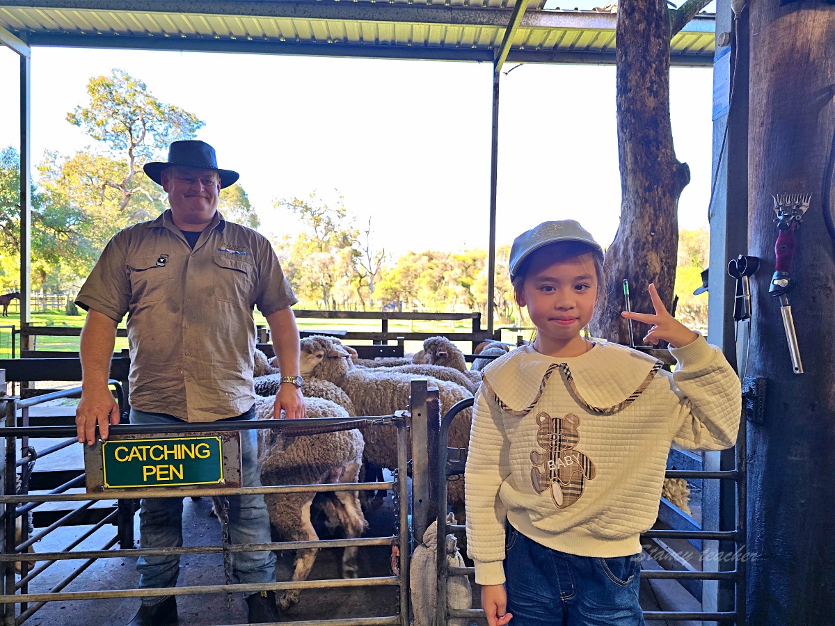 Caversham Wildlife Park 凱維森野生動物園｜珀斯近郊親子看袋鼠、無尾熊與農場秀