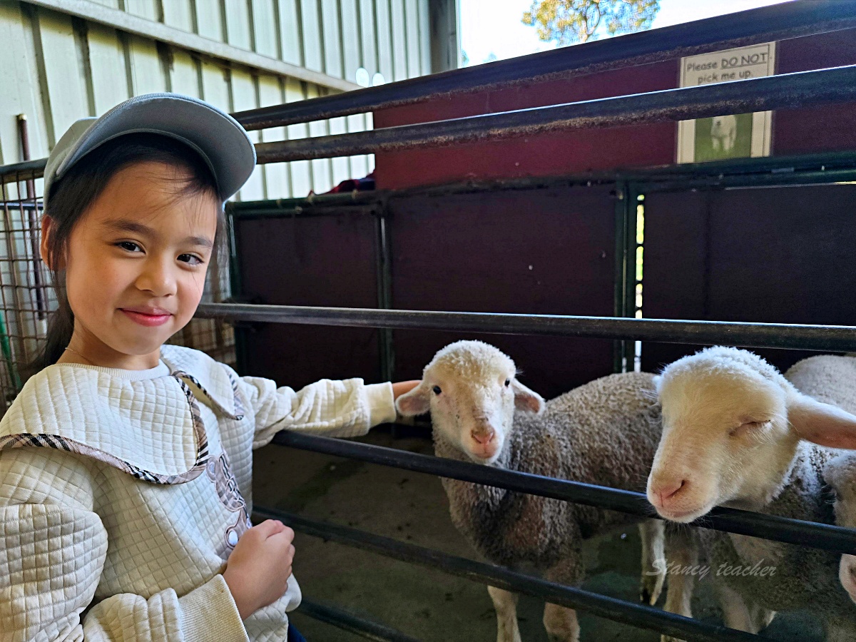 Caversham Wildlife Park 凱維森野生動物園｜珀斯近郊親子看袋鼠、無尾熊與農場秀