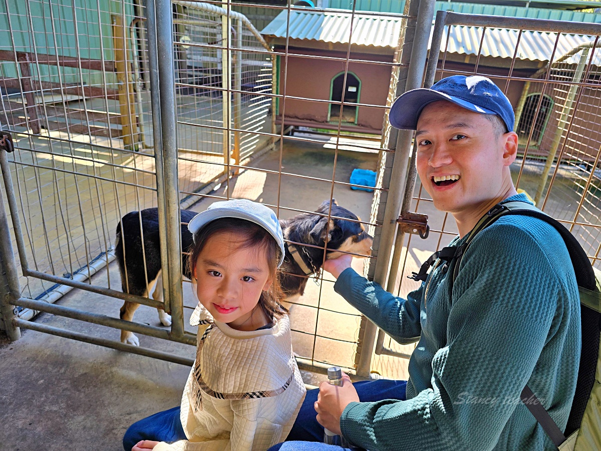 Caversham Wildlife Park 凱維森野生動物園｜珀斯近郊親子看袋鼠、無尾熊與農場秀