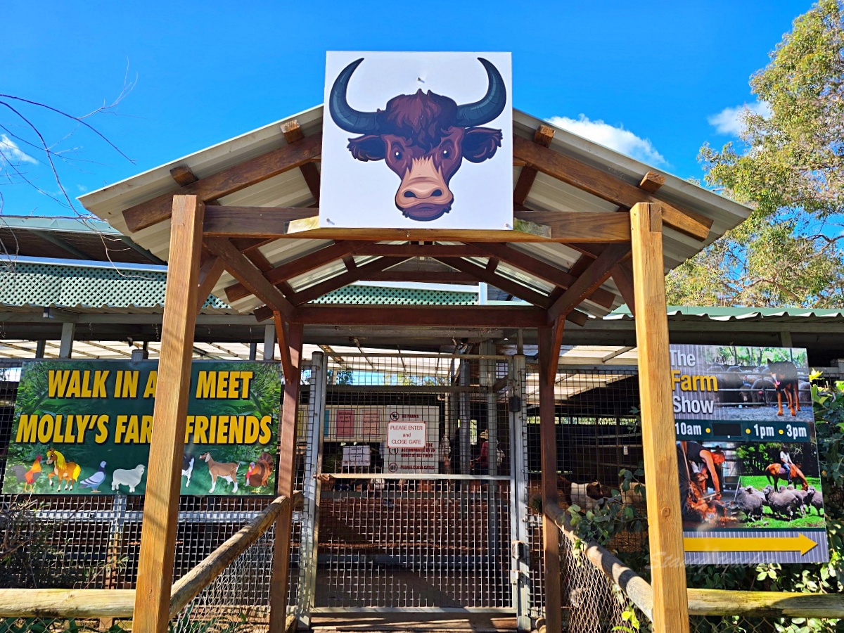 Caversham Wildlife Park 凱維森野生動物園｜珀斯近郊親子看袋鼠、無尾熊與農場秀