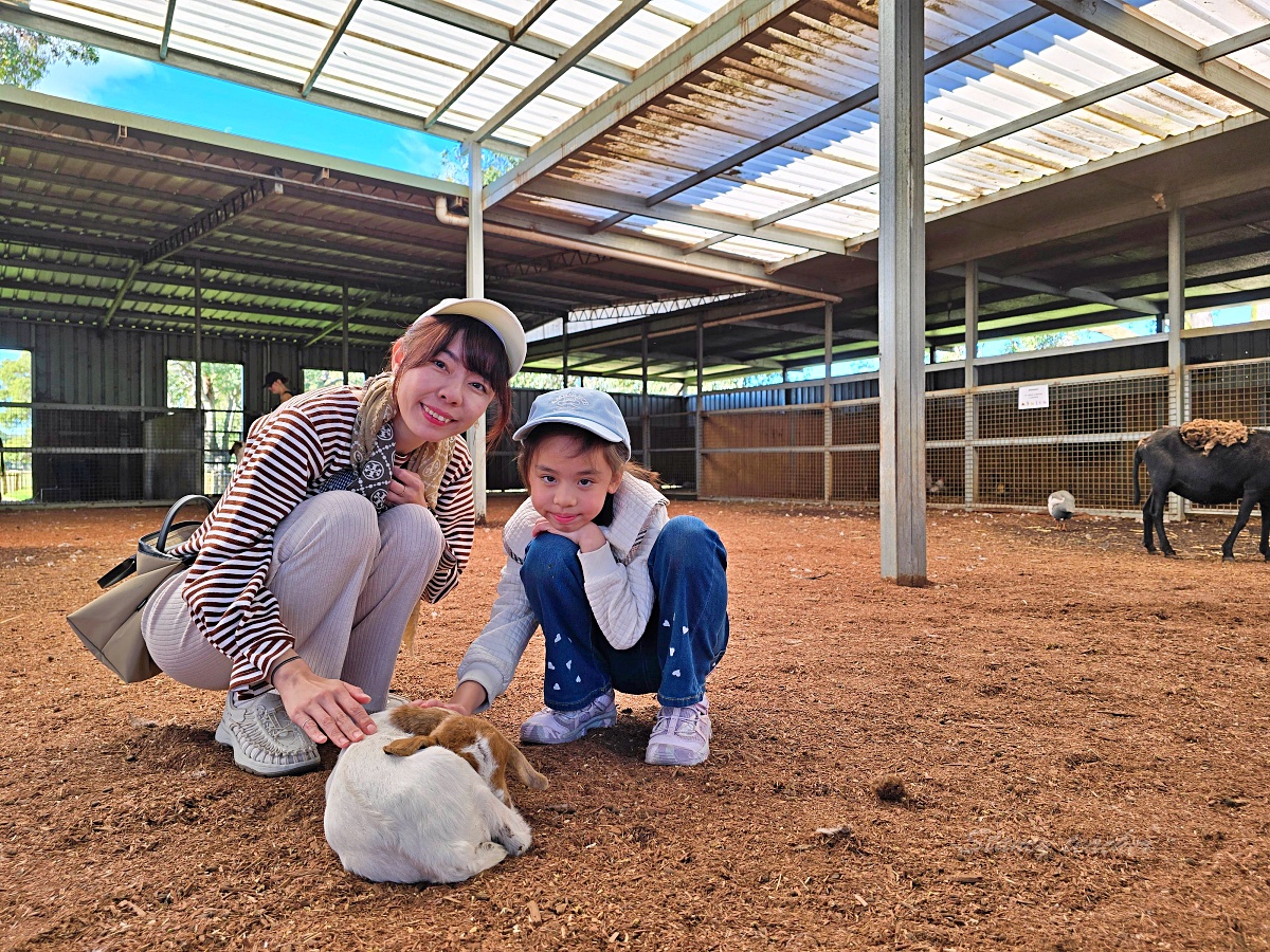 Caversham Wildlife Park 凱維森野生動物園｜珀斯近郊親子看袋鼠、無尾熊與農場秀