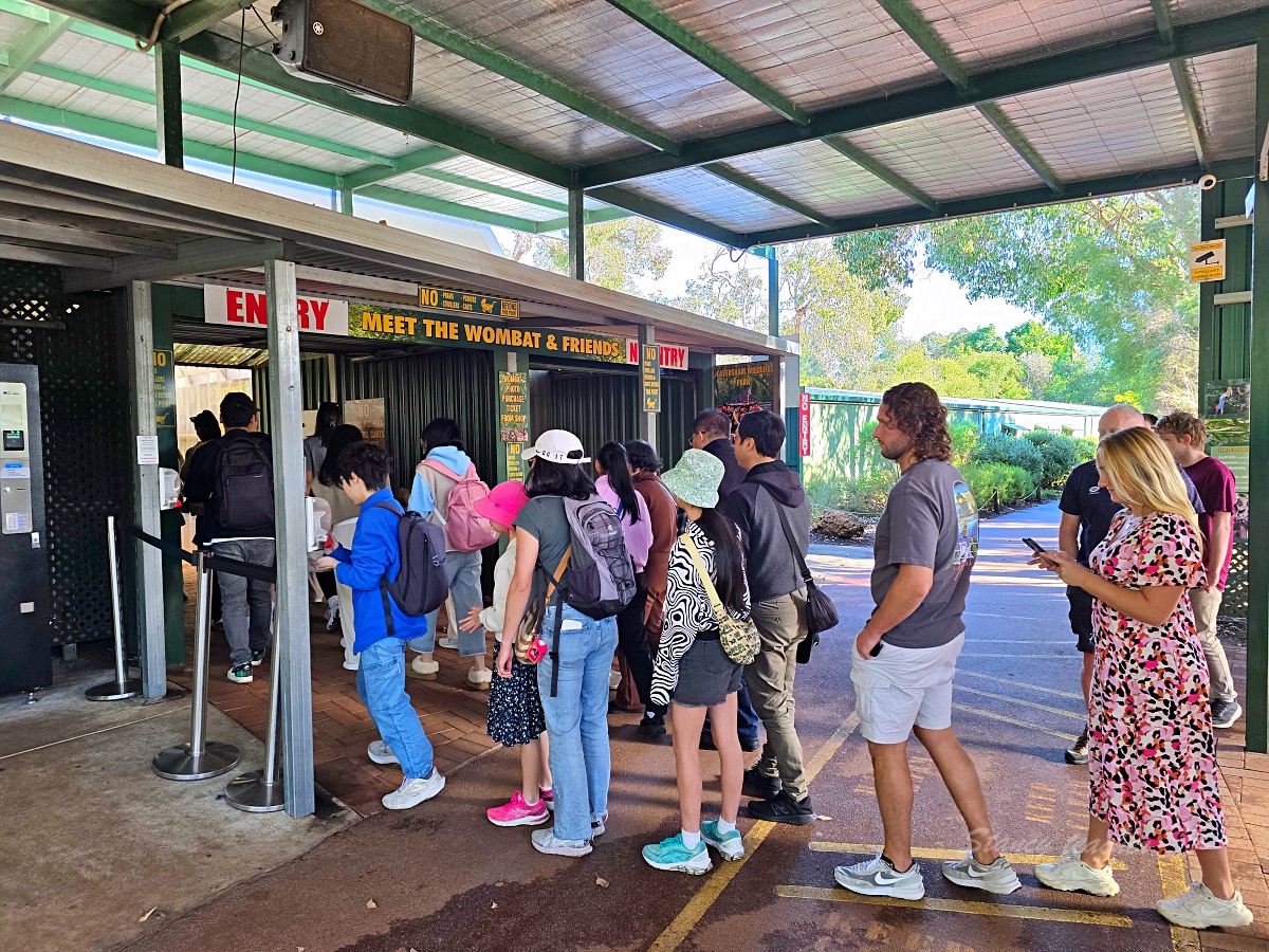 Caversham Wildlife Park 凱維森野生動物園｜珀斯近郊親子看袋鼠、無尾熊與農場秀