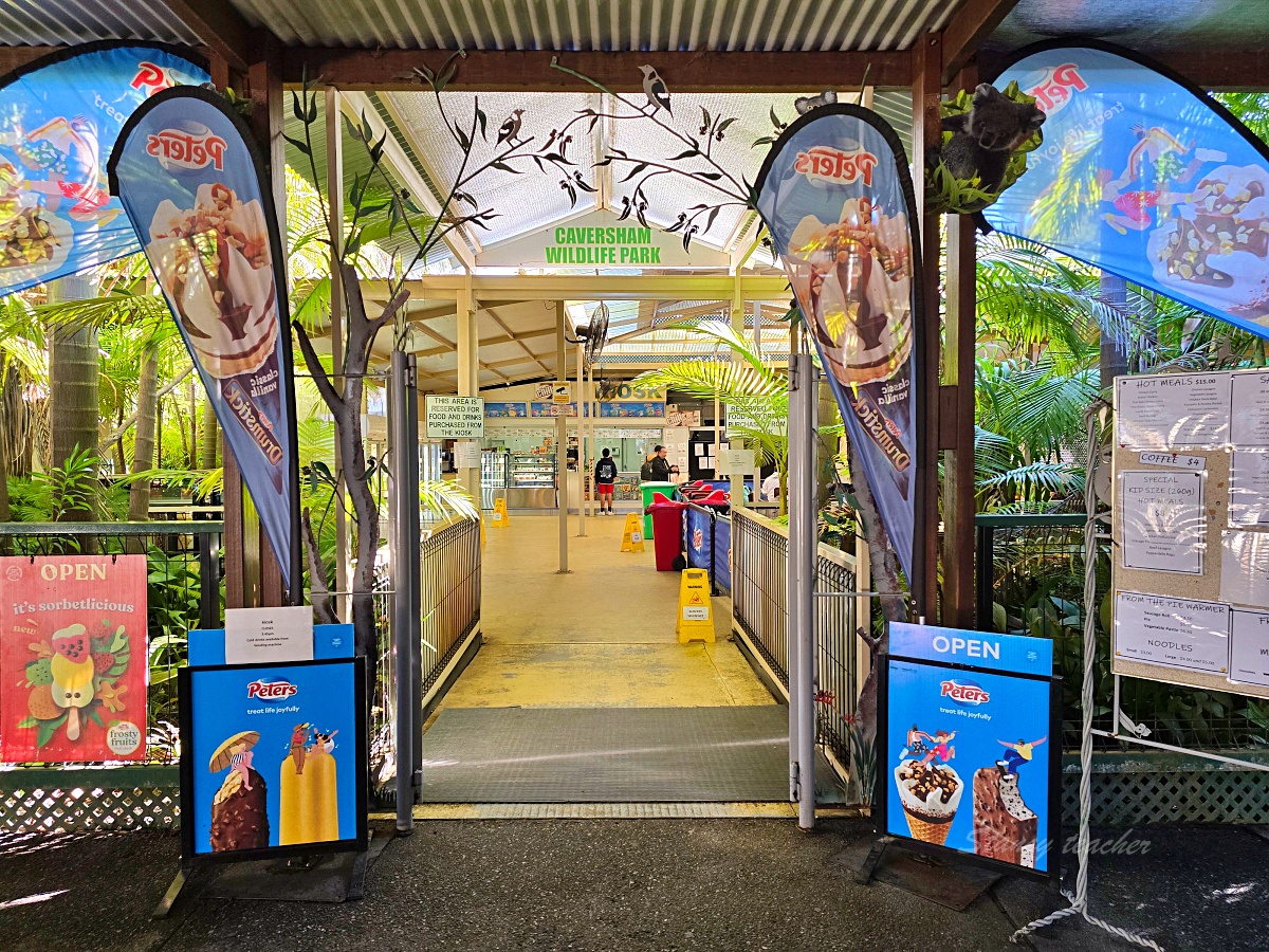 Caversham Wildlife Park 凱維森野生動物園｜珀斯近郊親子看袋鼠、無尾熊與農場秀