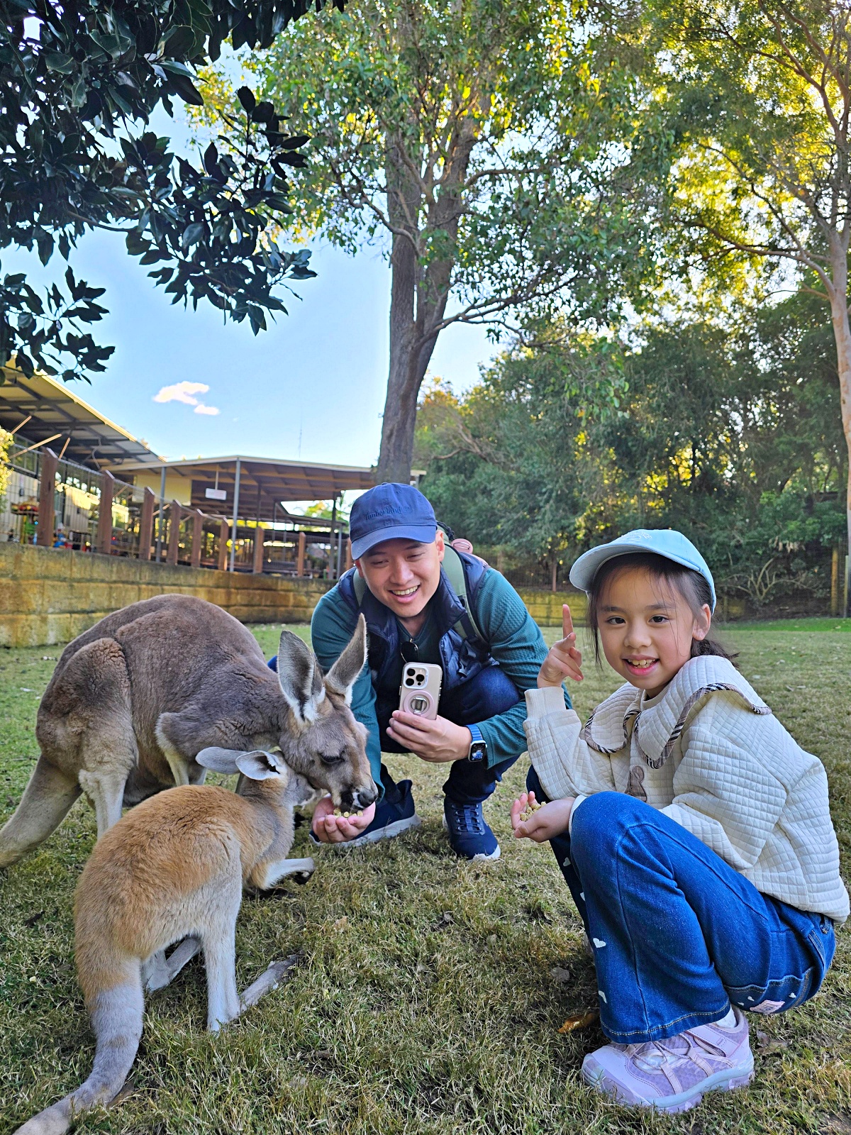 Caversham Wildlife Park 凱維森野生動物園｜珀斯近郊親子看袋鼠、無尾熊與農場秀