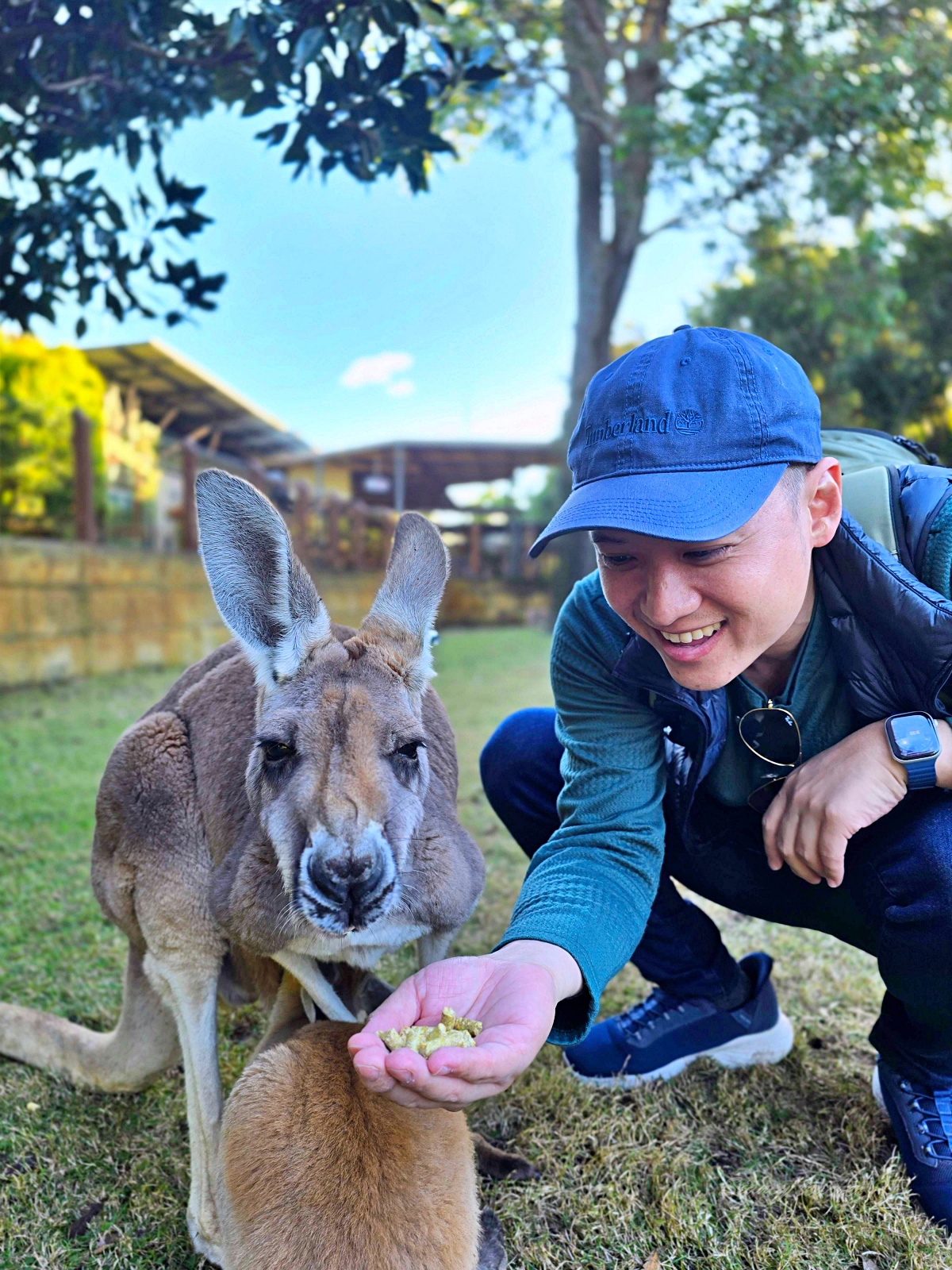 Caversham Wildlife Park 凱維森野生動物園｜珀斯近郊親子看袋鼠、無尾熊與農場秀