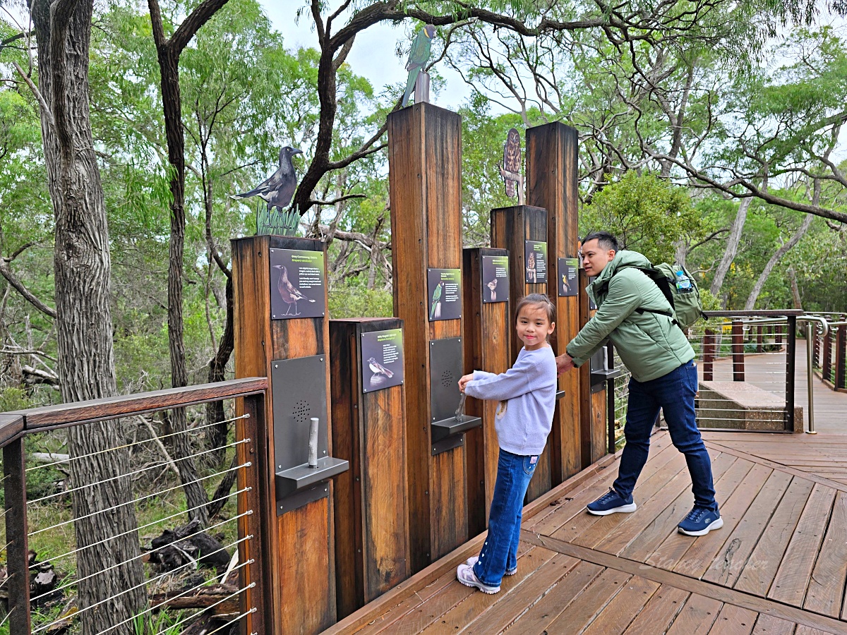 西澳必去景點推薦｜Ngilgi Cave 妮奇鐘乳石洞 地底奇景探險