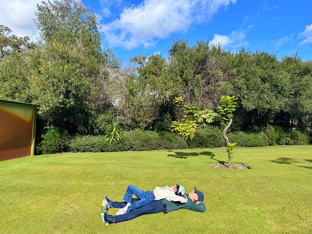 Caversham Wildlife Park 凱維森野生動物園｜珀斯近郊親子看袋鼠、無尾熊與農場秀