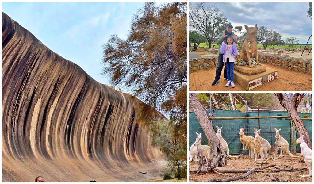 Wave Rock 與西澳自駕路線取捨參考