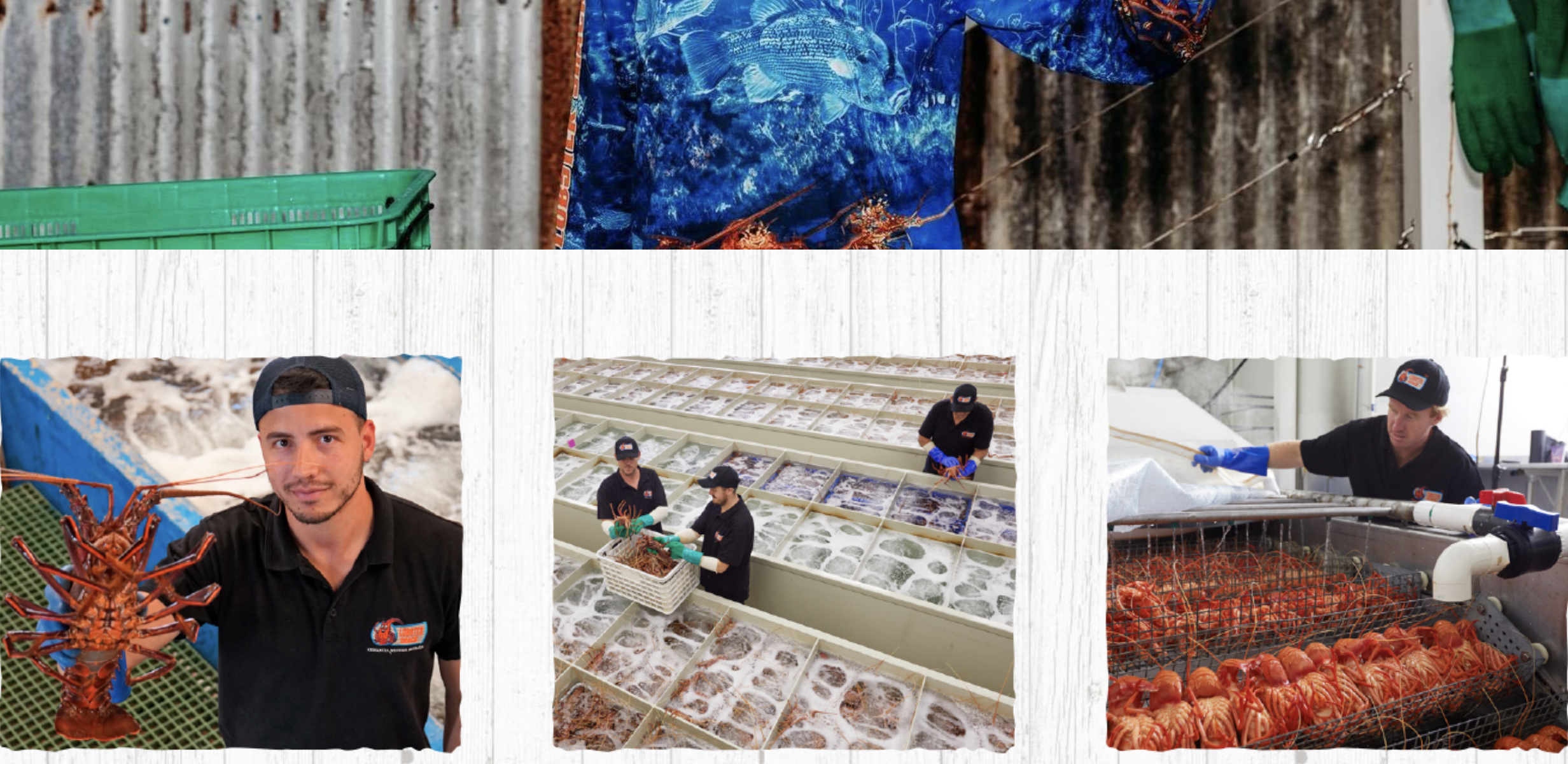 Lobster Shack 龍蝦工廠｜Cervantes 海景龍蝦餐、自駕路線與尖峰石陣順遊