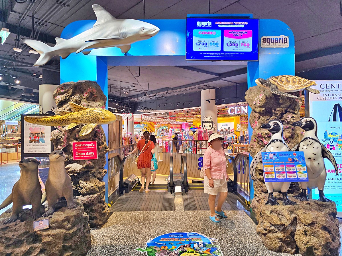 Aquaria Phuket 室內展區適合孩子雨天慢慢看