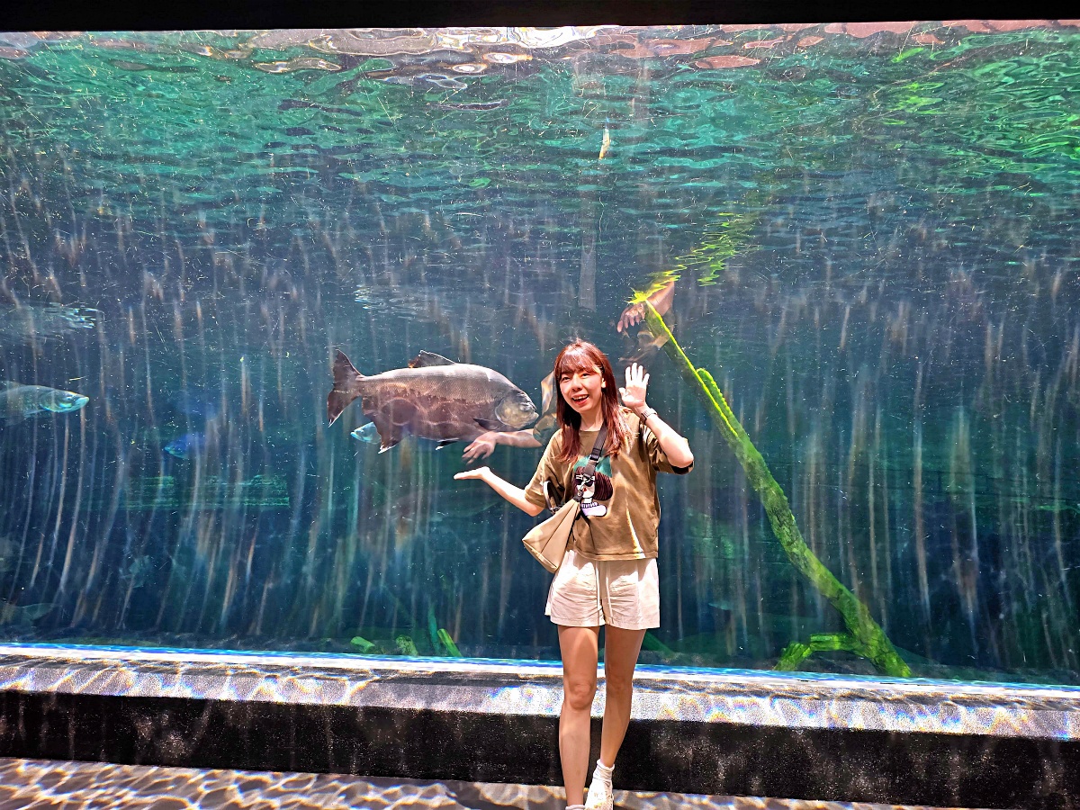 普吉島親子景點推薦「普吉島水族館Aquaria Phuket 」門票價格、交通方式、展區亮點一次看！普吉島雨天備案景點