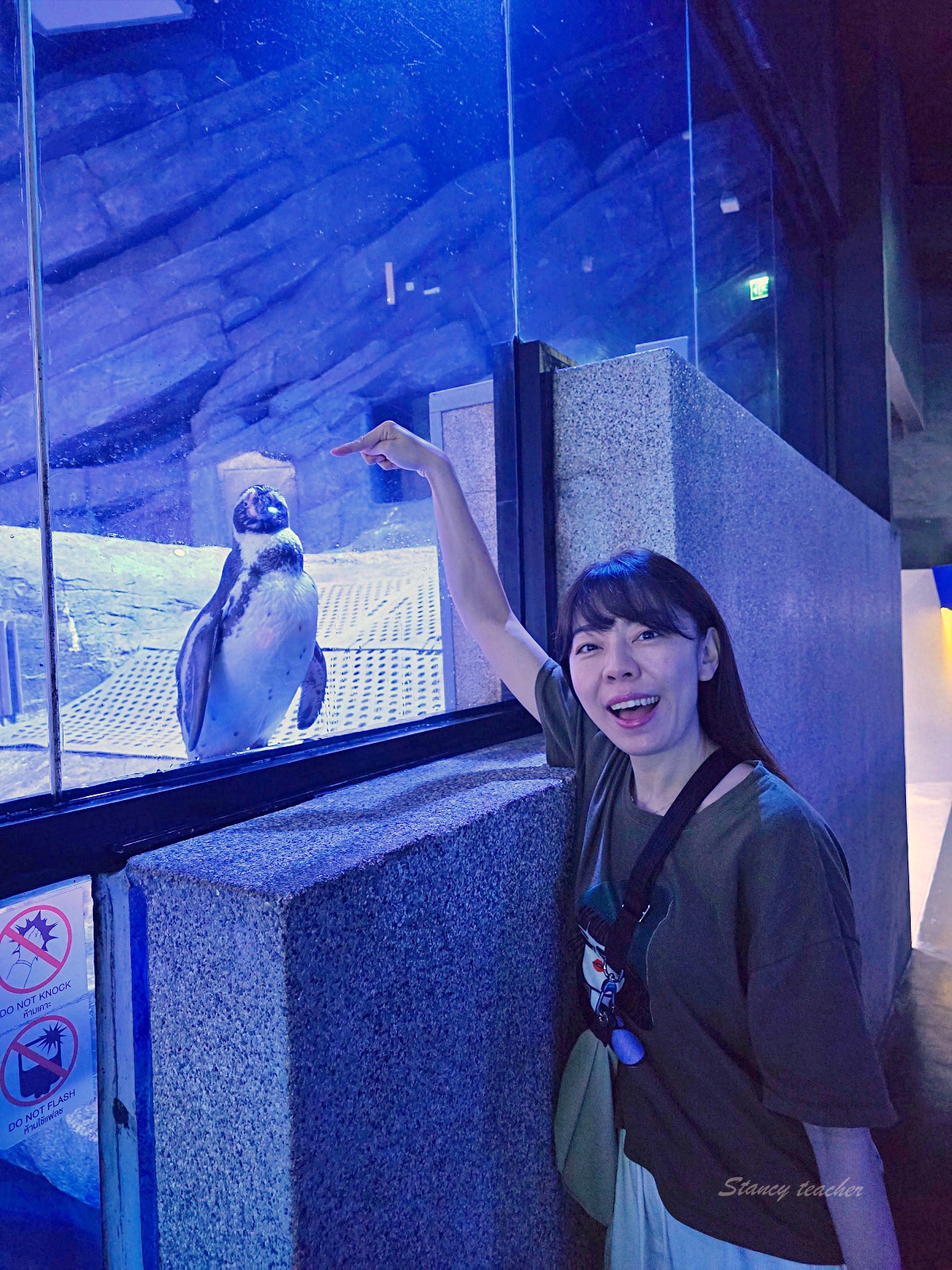 普吉島親子景點推薦「普吉島水族館Aquaria Phuket 」門票價格、交通方式、展區亮點一次看!普吉島雨天備案景點 普吉島親子景點推薦「普吉島水族館Aquaria Phuket 」門票價格、交通方式、展區亮點一次看!普吉島雨天備案景點