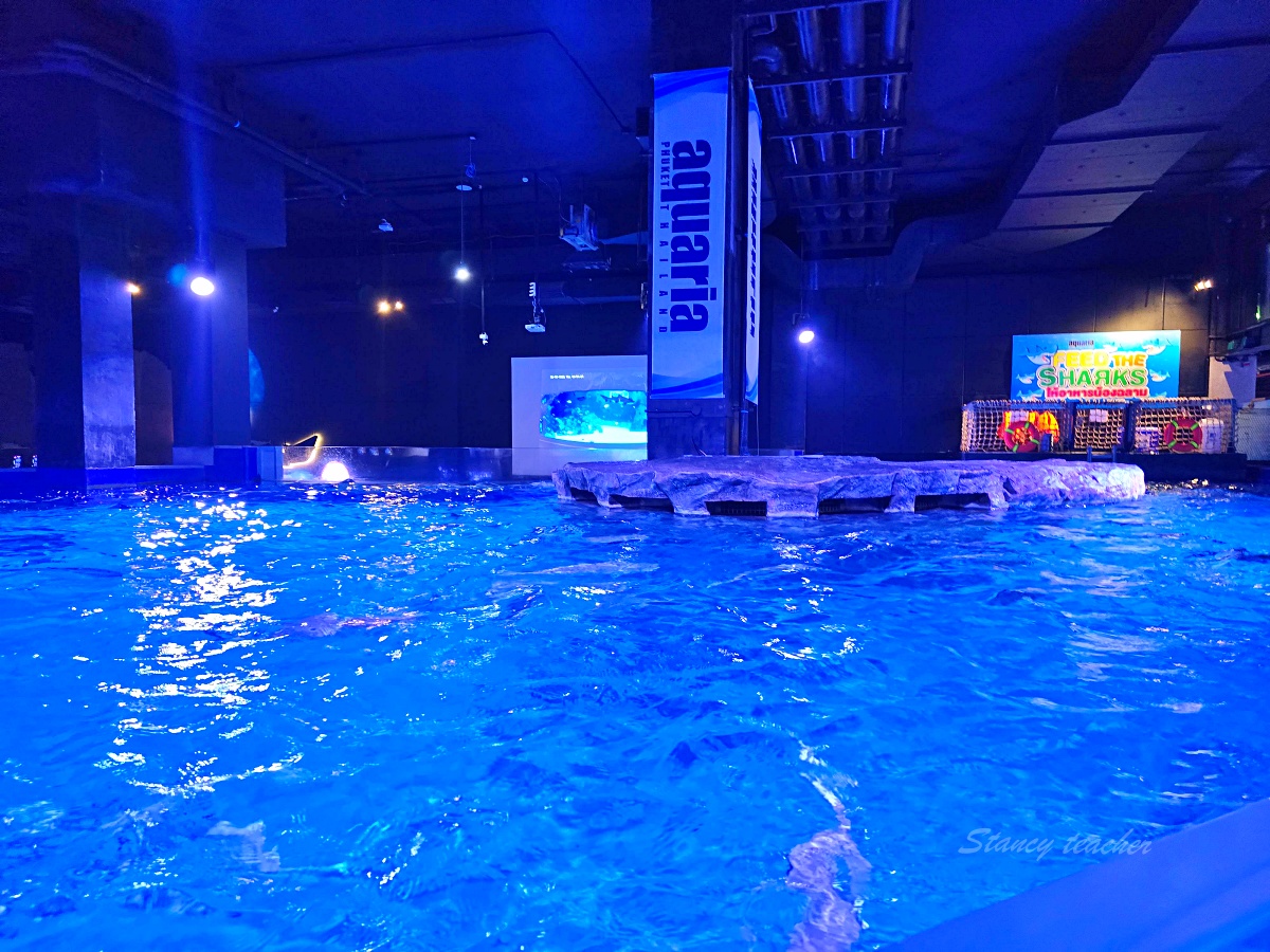 普吉島親子景點推薦「普吉島水族館Aquaria Phuket 」門票價格、交通方式、展區亮點一次看!普吉島雨天備案景點 普吉島親子景點推薦「普吉島水族館Aquaria Phuket 」門票價格、交通方式、展區亮點一次看!普吉島雨天備案景點