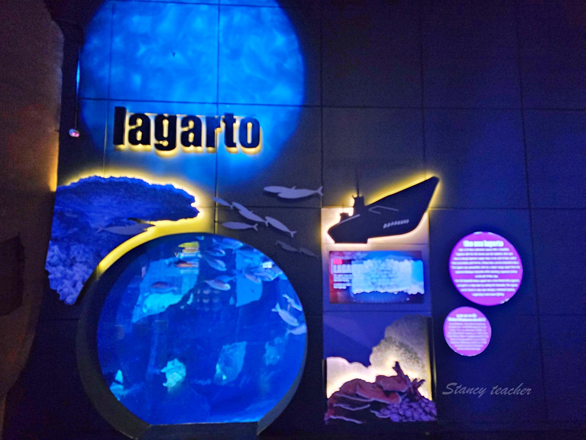 普吉島親子景點推薦「普吉島水族館Aquaria Phuket 」門票價格、交通方式、展區亮點一次看！普吉島雨天備案景點
