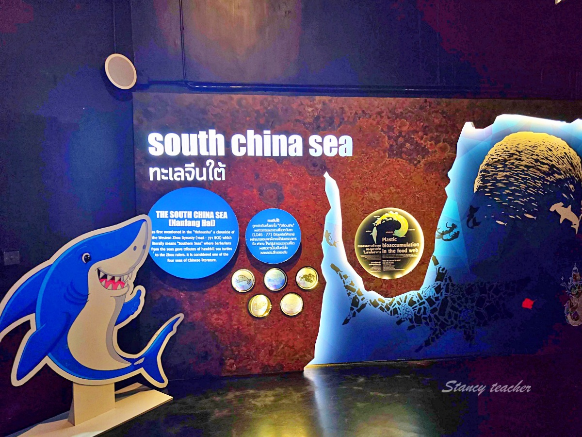 普吉島親子景點推薦「普吉島水族館Aquaria Phuket 」門票價格、交通方式、展區亮點一次看！普吉島雨天備案景點