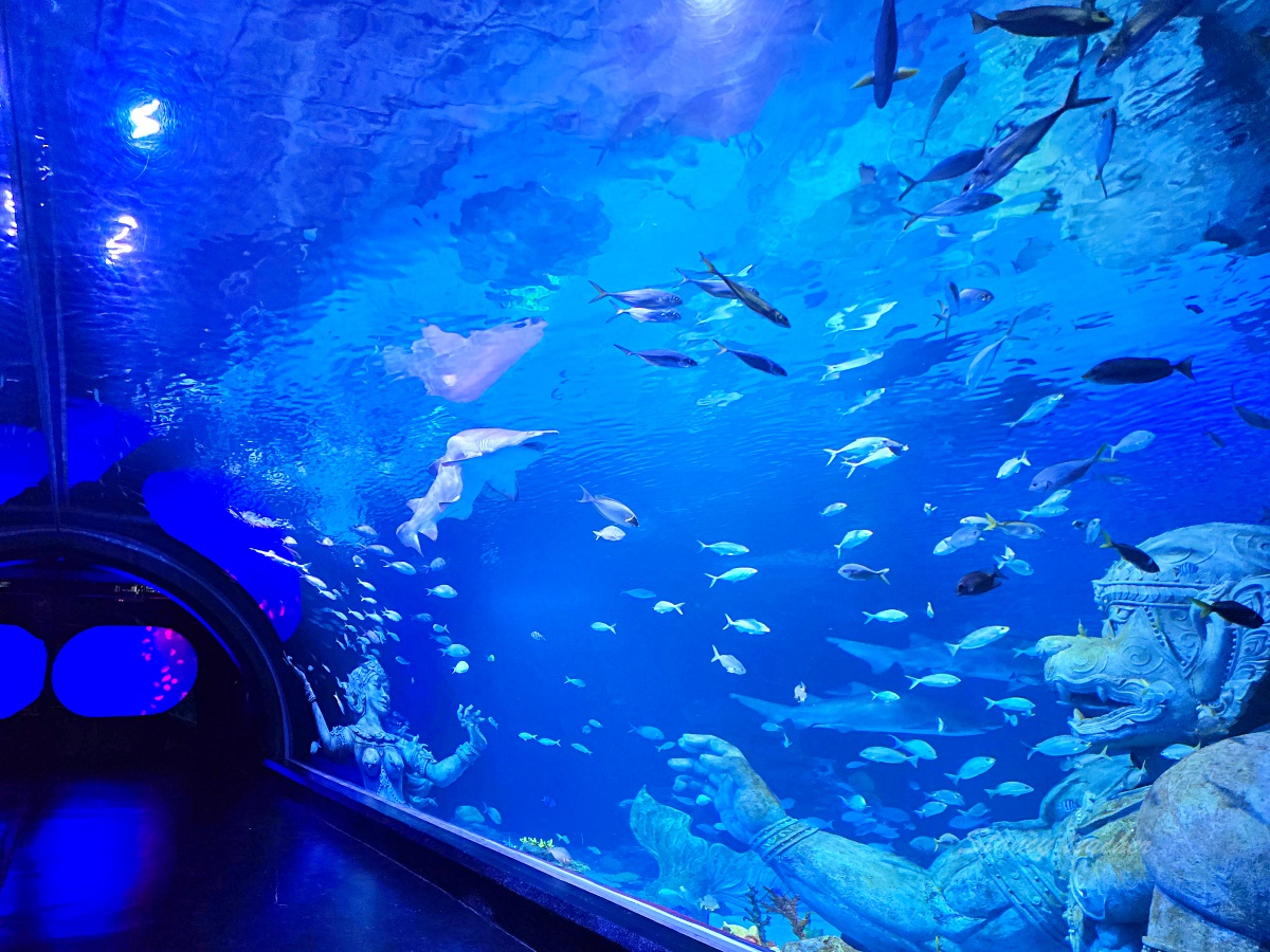 普吉島親子景點推薦「普吉島水族館Aquaria Phuket 」門票價格、交通方式、展區亮點一次看！普吉島雨天備案景點