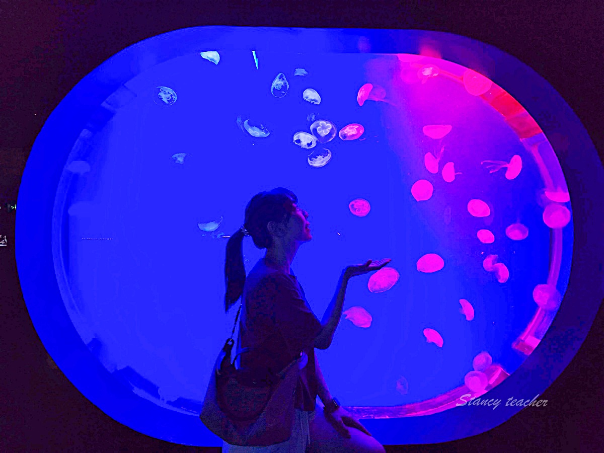 普吉島雨天備案與太熱備案：水族館、購物中心、按摩、飯店設施怎麼排 @Stancy Teacher 美味異想世界
