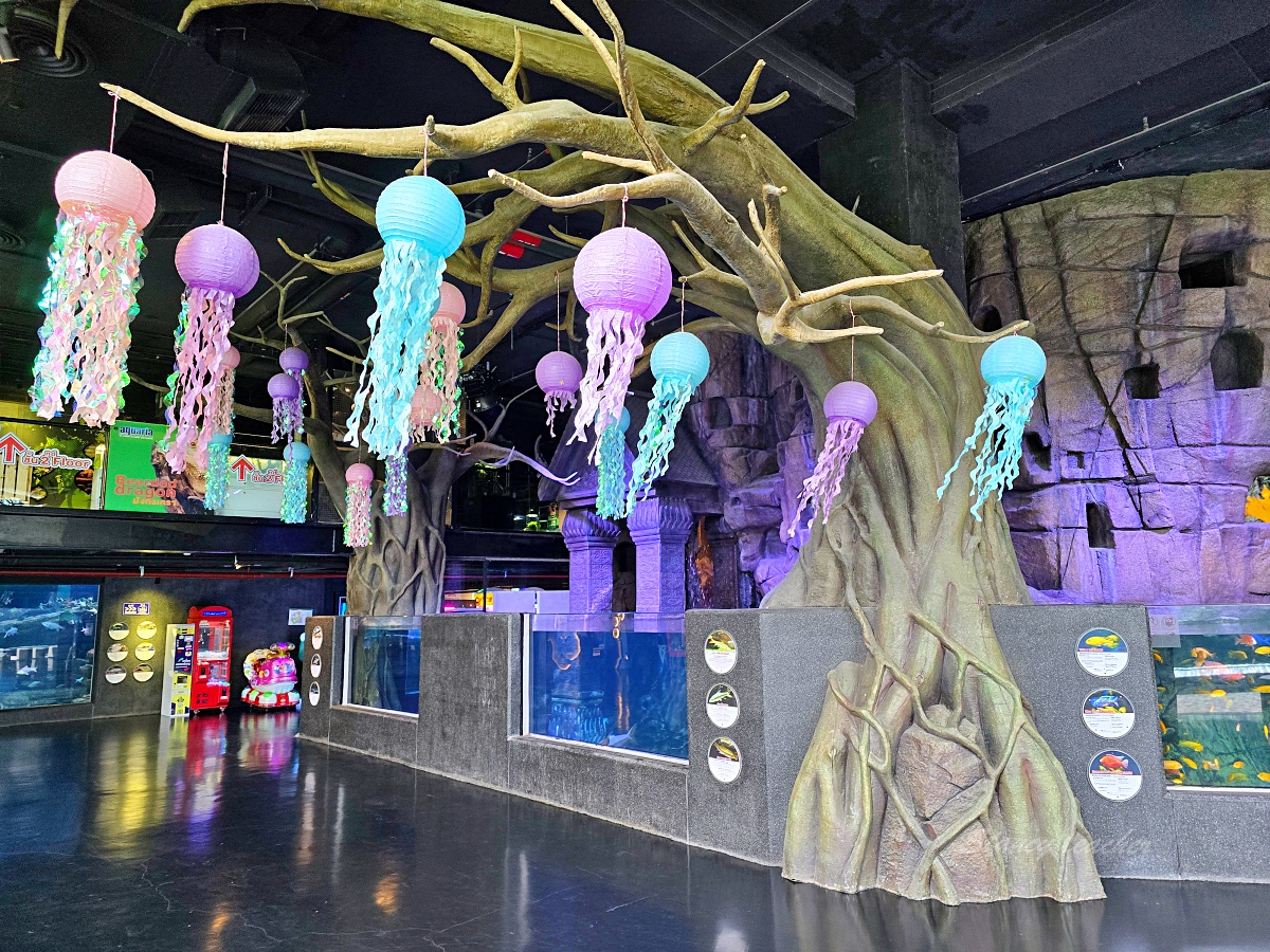 普吉島親子景點推薦「普吉島水族館Aquaria Phuket 」門票價格、交通方式、展區亮點一次看！普吉島雨天備案景點