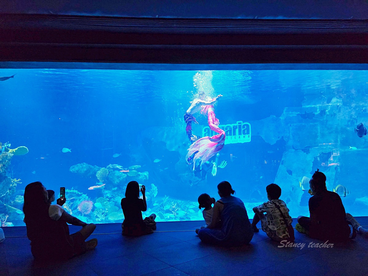 普吉島親子景點推薦「普吉島水族館Aquaria Phuket 」門票價格、交通方式、展區亮點一次看！普吉島雨天備案景點