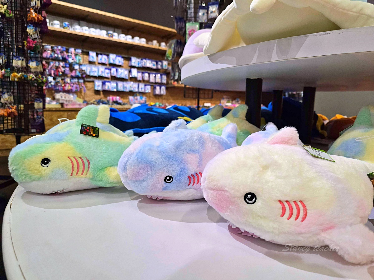 普吉島親子景點推薦「普吉島水族館Aquaria Phuket 」門票價格、交通方式、展區亮點一次看！普吉島雨天備案景點