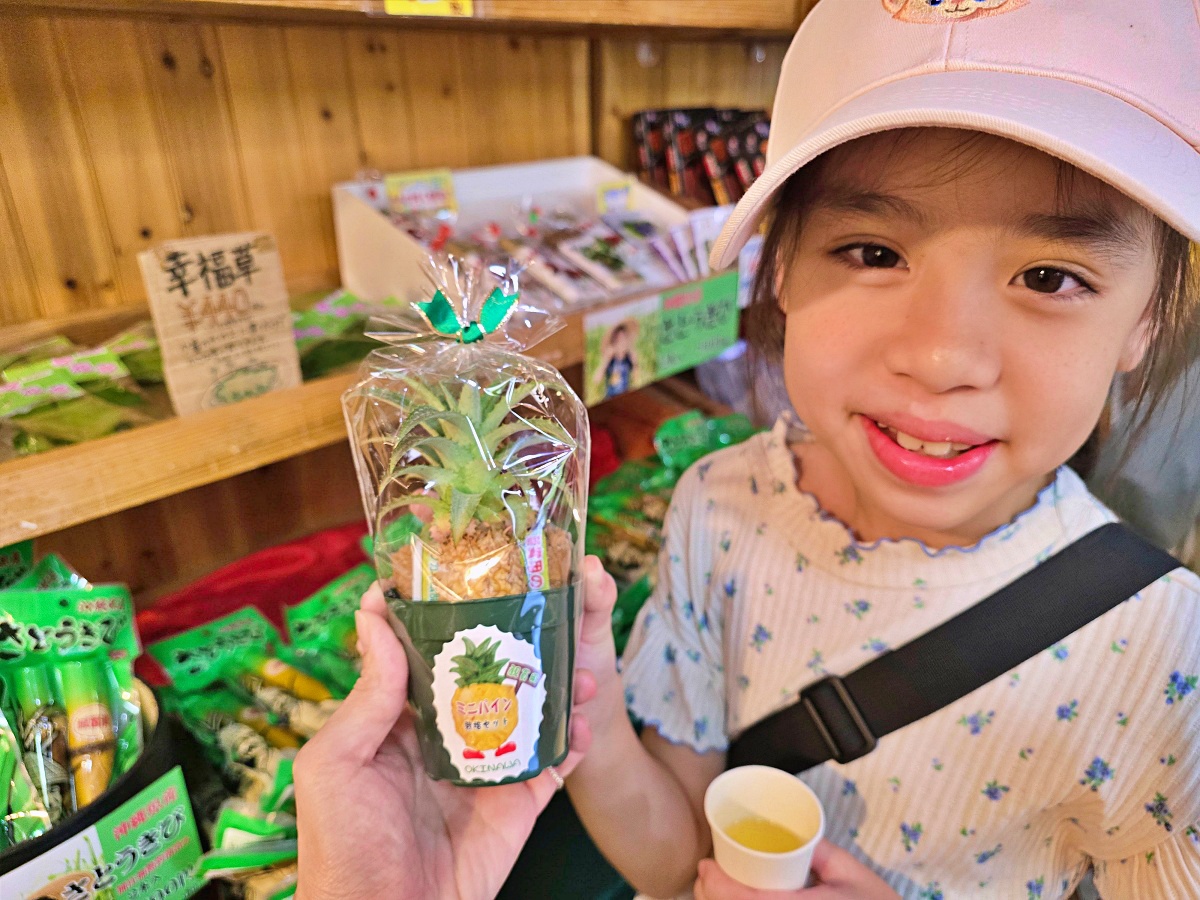 【沖繩 Fun Pass攻略】名護鳳梨園+沖繩水果園+DINO恐龍公園|親子一日遊包車玩法&省錢秘訣 【沖繩 Fun Pass攻略】名護鳳梨園+沖繩水果園+DINO恐龍公園|親子一日遊包車玩法&省錢秘訣