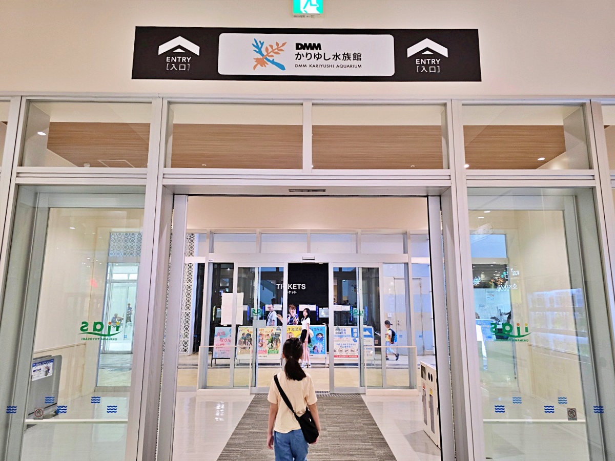 【沖繩最新開幕水族館】DMM Kariyushi 水族館攻略|親子自由行必玩景點 【沖繩最新開幕水族館】DMM Kariyushi 水族館攻略|親子自由行必玩景點