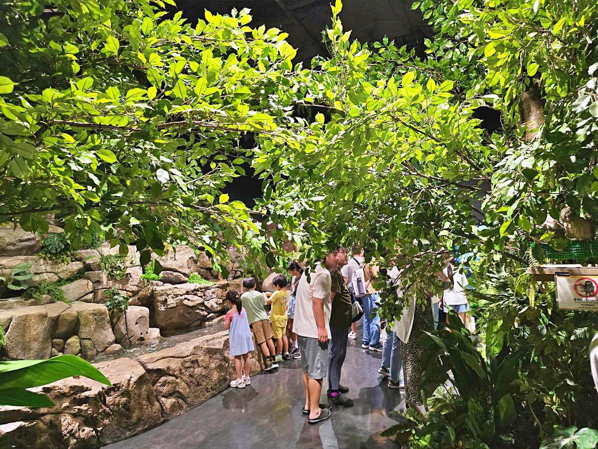 【沖繩最新開幕水族館】DMM Kariyushi 水族館攻略|親子自由行必玩景點 【沖繩最新開幕水族館】DMM Kariyushi 水族館攻略|親子自由行必玩景點