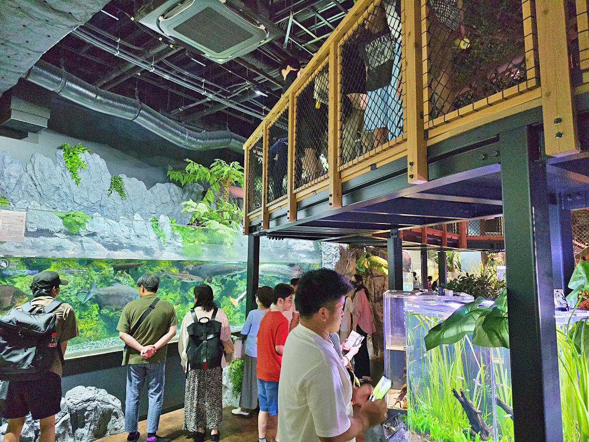 【沖繩最新開幕水族館】DMM Kariyushi 水族館攻略|親子自由行必玩景點 【沖繩最新開幕水族館】DMM Kariyushi 水族館攻略|親子自由行必玩景點
