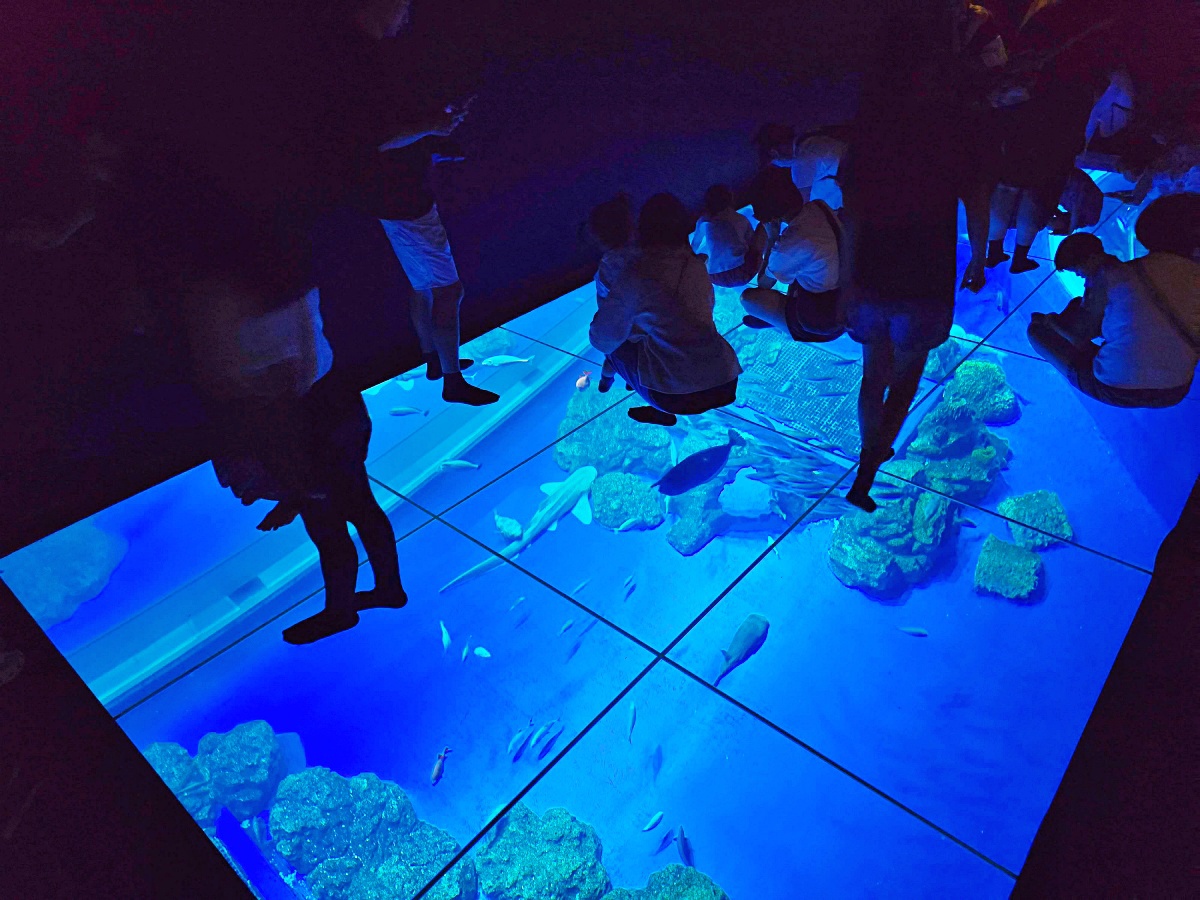【沖繩最新開幕水族館】DMM Kariyushi 水族館攻略|親子自由行必玩景點 【沖繩最新開幕水族館】DMM Kariyushi 水族館攻略|親子自由行必玩景點