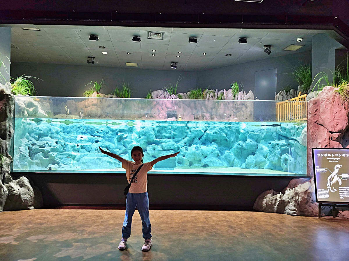 【沖繩最新開幕水族館】DMM Kariyushi 水族館攻略|親子自由行必玩景點 【沖繩最新開幕水族館】DMM Kariyushi 水族館攻略|親子自由行必玩景點