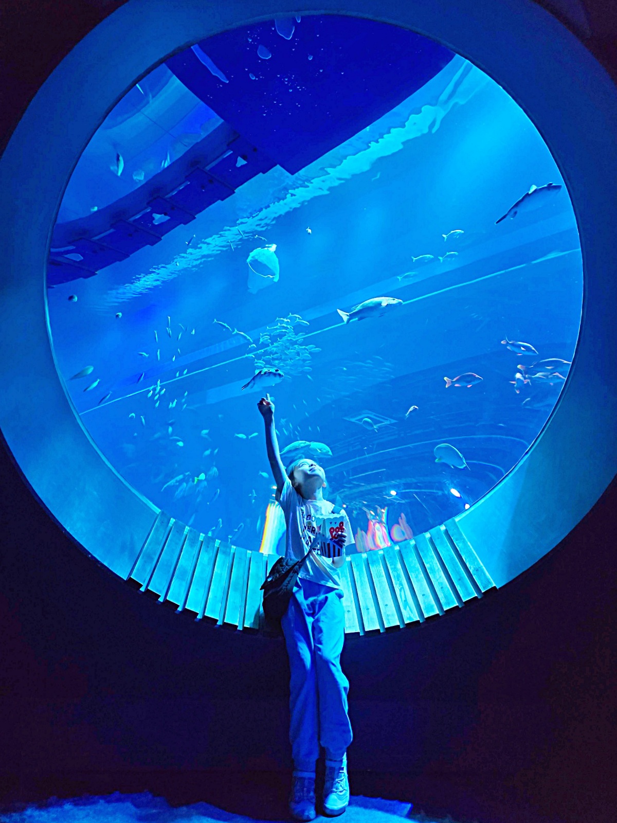 【沖繩最新開幕水族館】DMM Kariyushi 水族館攻略｜親子自由行必玩景點