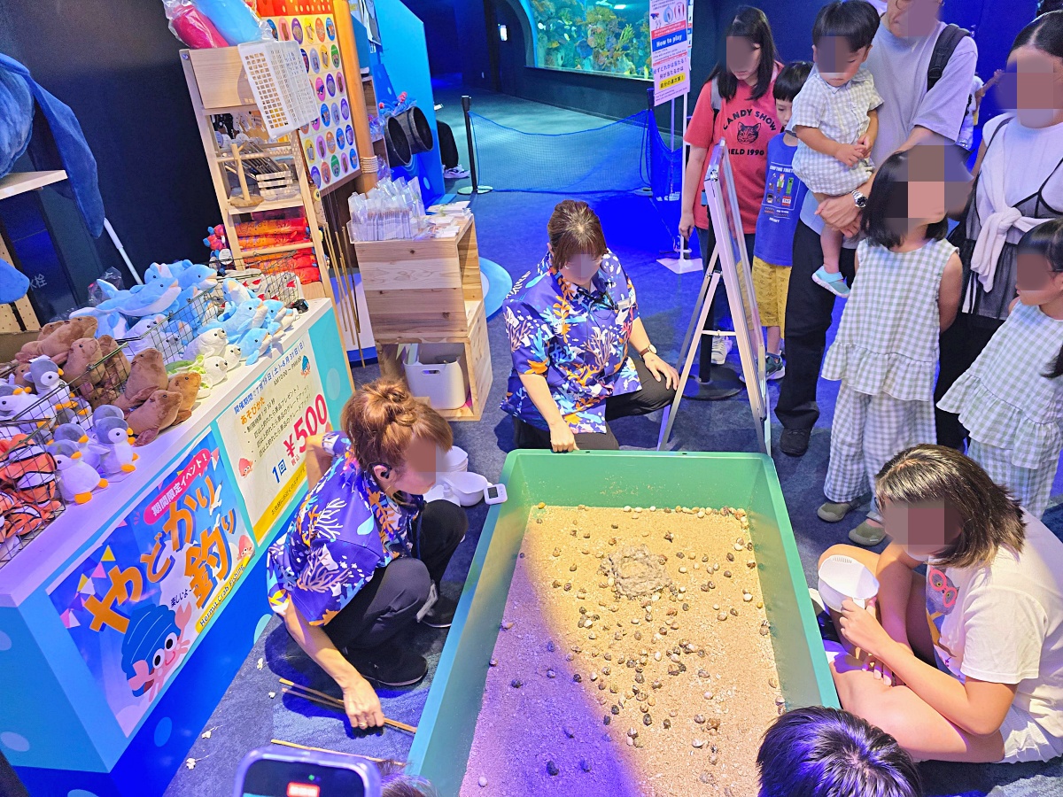 【沖繩最新開幕水族館】DMM Kariyushi 水族館攻略｜親子自由行必玩景點