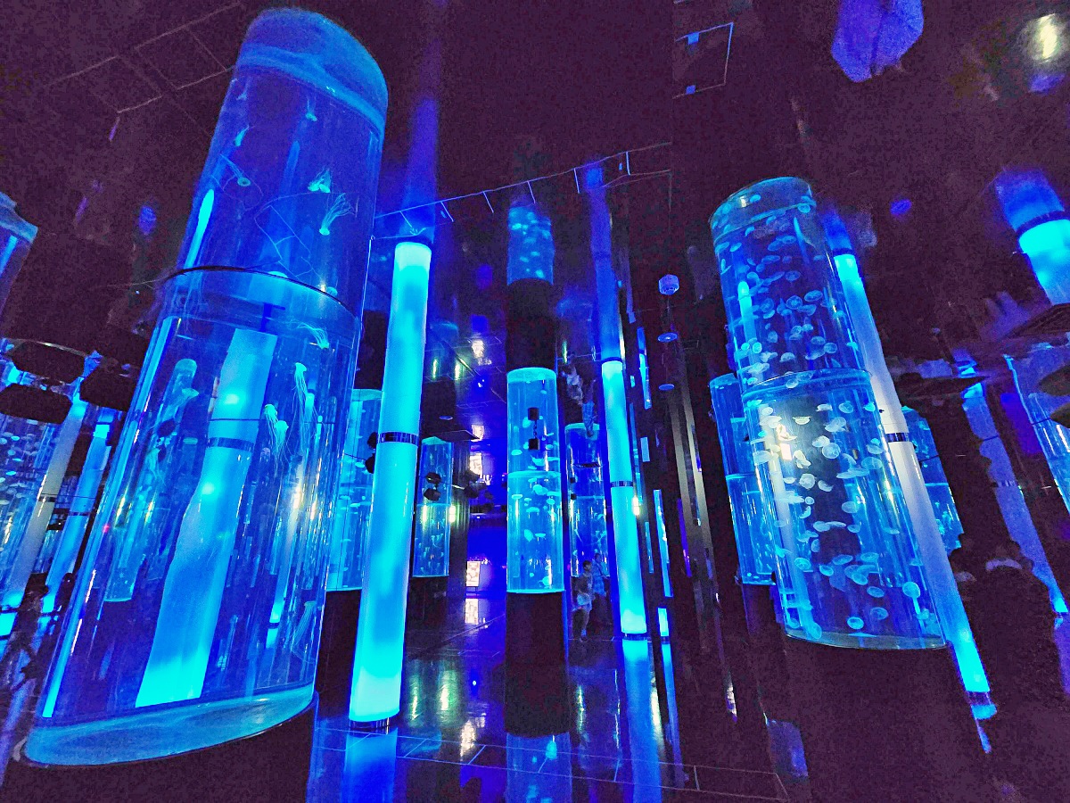 【沖繩最新開幕水族館】DMM Kariyushi 水族館攻略｜親子自由行必玩景點