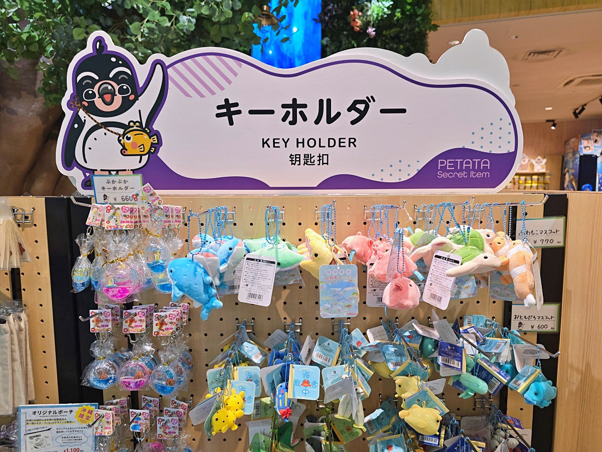 【沖繩最新開幕水族館】DMM Kariyushi 水族館攻略｜親子自由行必玩景點