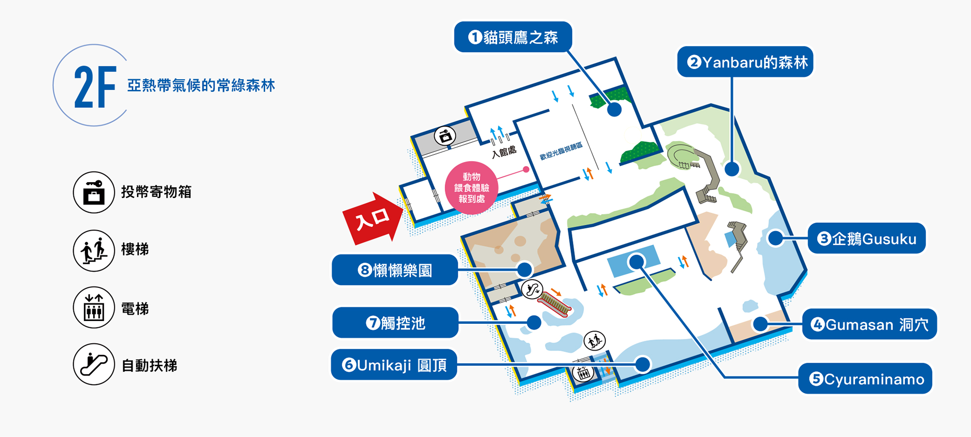 【沖繩最新開幕水族館】DMM Kariyushi 水族館攻略|親子自由行必玩景點 【沖繩最新開幕水族館】DMM Kariyushi 水族館攻略|親子自由行必玩景點