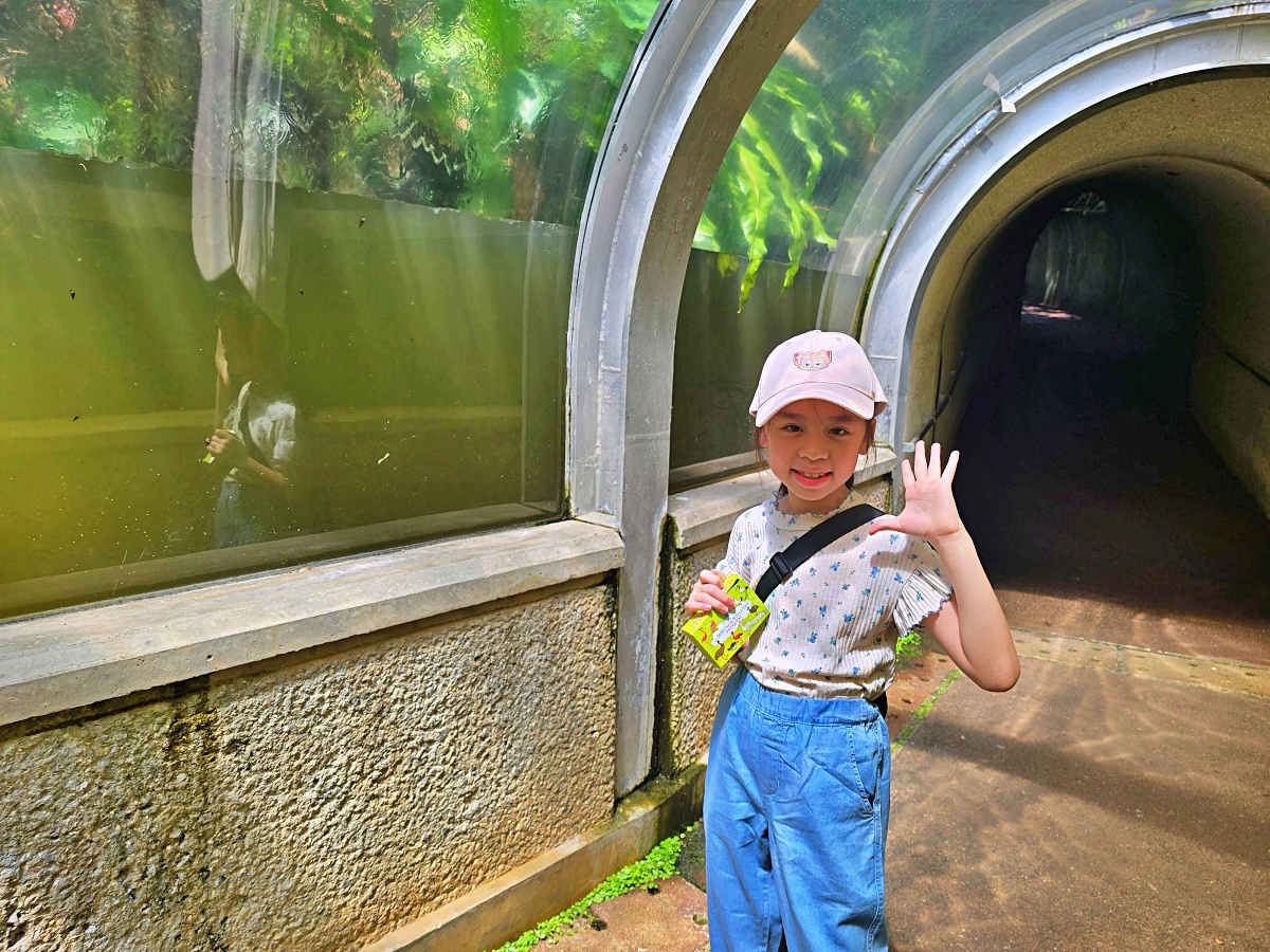 沖繩親子景點推薦|名護自然動植物公園&小火車體驗優惠票價哪裡買? 沖繩親子景點推薦|名護自然動植物公園&小火車體驗優惠票價哪裡買?