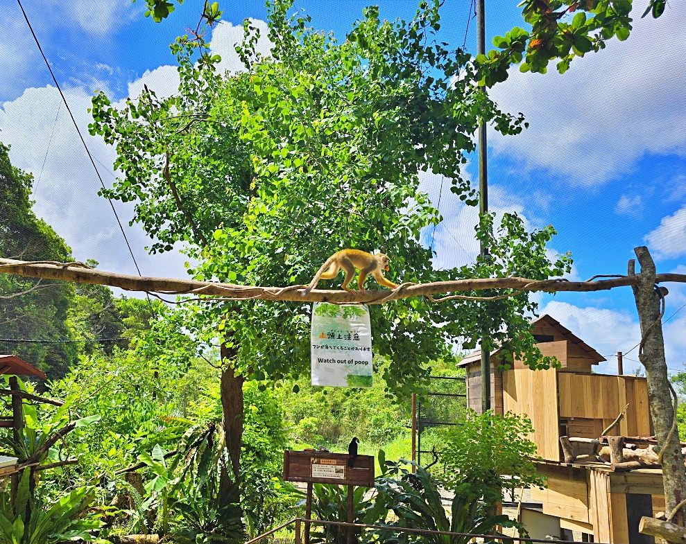 沖繩親子景點推薦|名護自然動植物公園&小火車體驗優惠票價哪裡買? 沖繩親子景點推薦|名護自然動植物公園&小火車體驗優惠票價哪裡買?