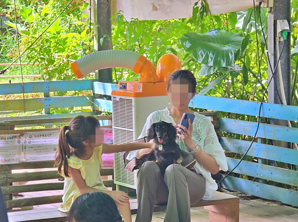 沖繩親子景點推薦|名護自然動植物公園&小火車體驗優惠票價哪裡買? 沖繩親子景點推薦|名護自然動植物公園&小火車體驗優惠票價哪裡買?