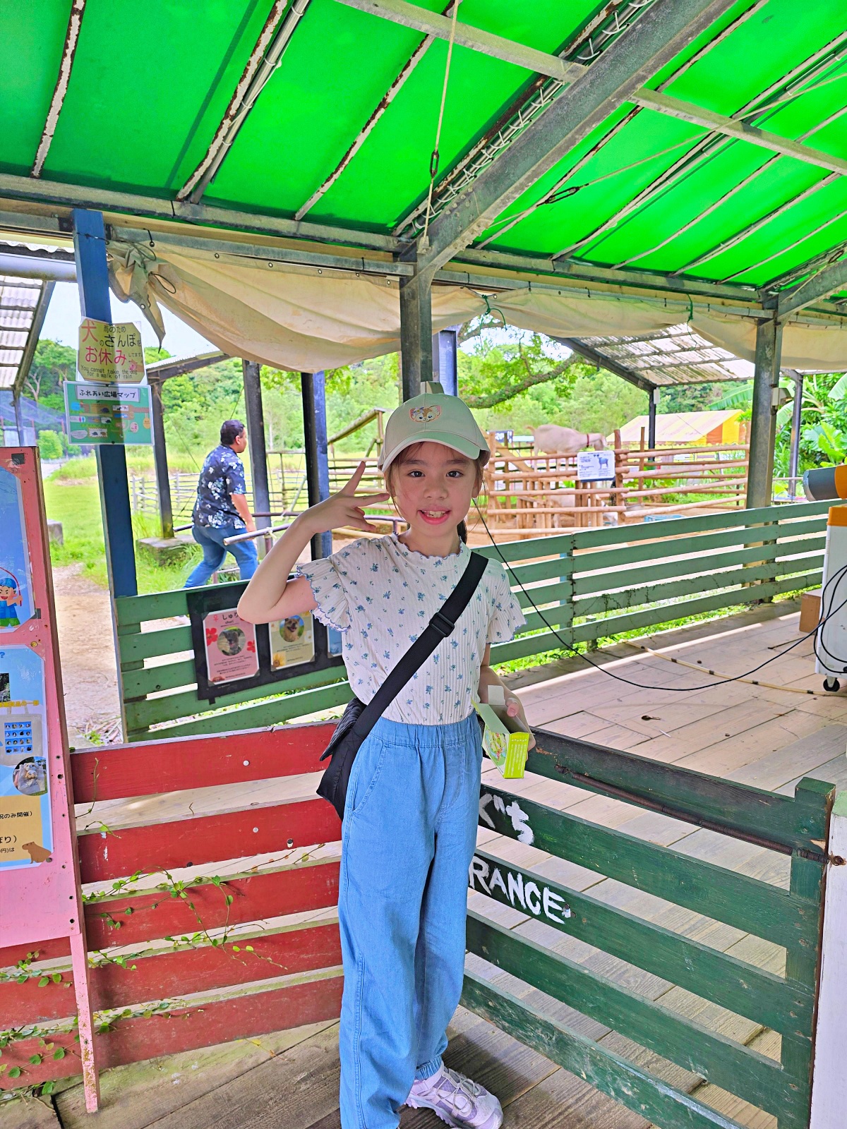 沖繩親子景點推薦｜名護自然動植物公園＆小火車體驗優惠票價哪裡買？