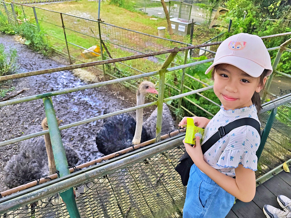 沖繩親子景點推薦｜名護自然動植物公園＆小火車體驗優惠票價哪裡買？
