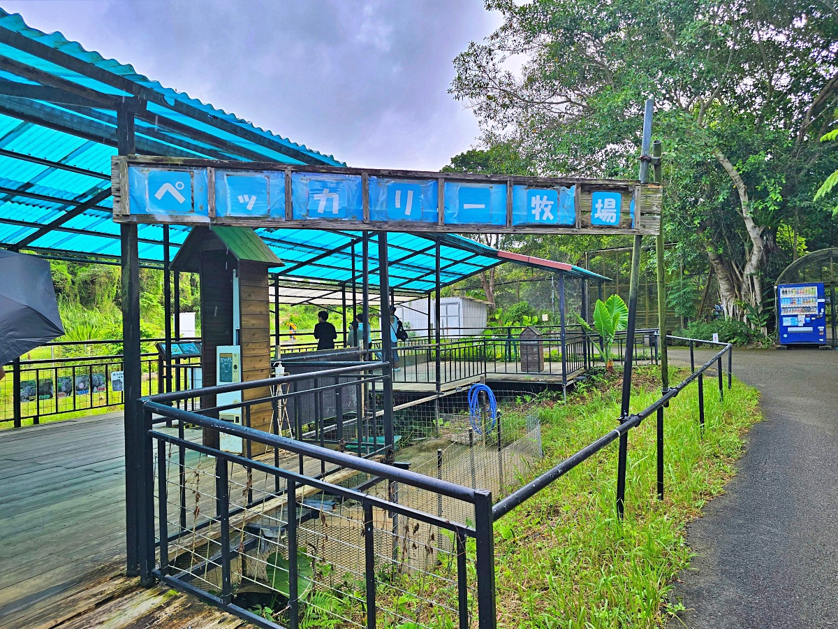 沖繩親子景點推薦｜名護自然動植物公園＆小火車體驗優惠票價哪裡買？