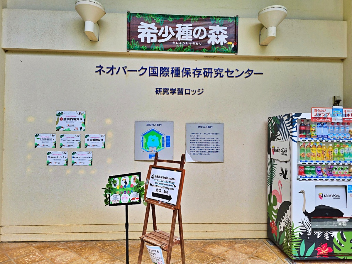 沖繩親子景點推薦｜名護自然動植物公園＆小火車體驗優惠票價哪裡買？