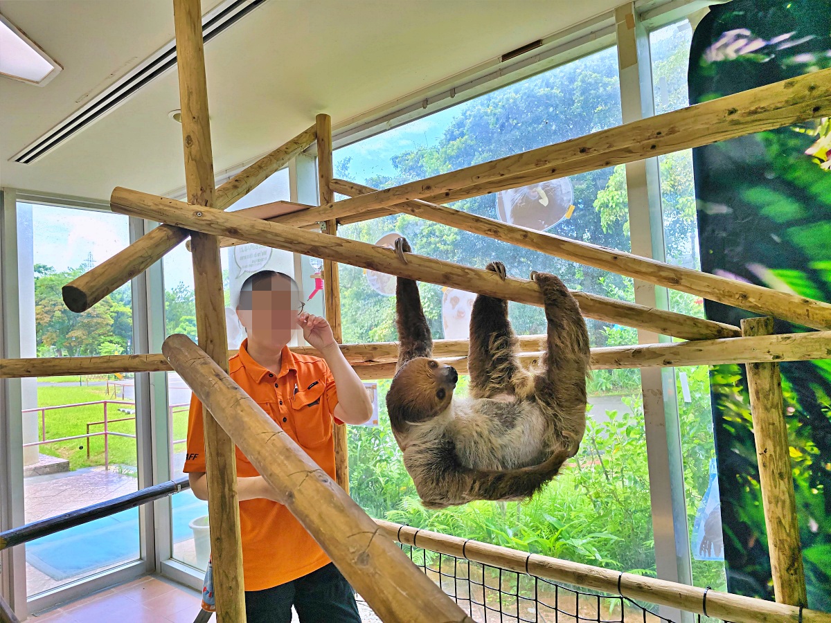 沖繩親子景點推薦｜名護自然動植物公園＆小火車體驗優惠票價哪裡買？