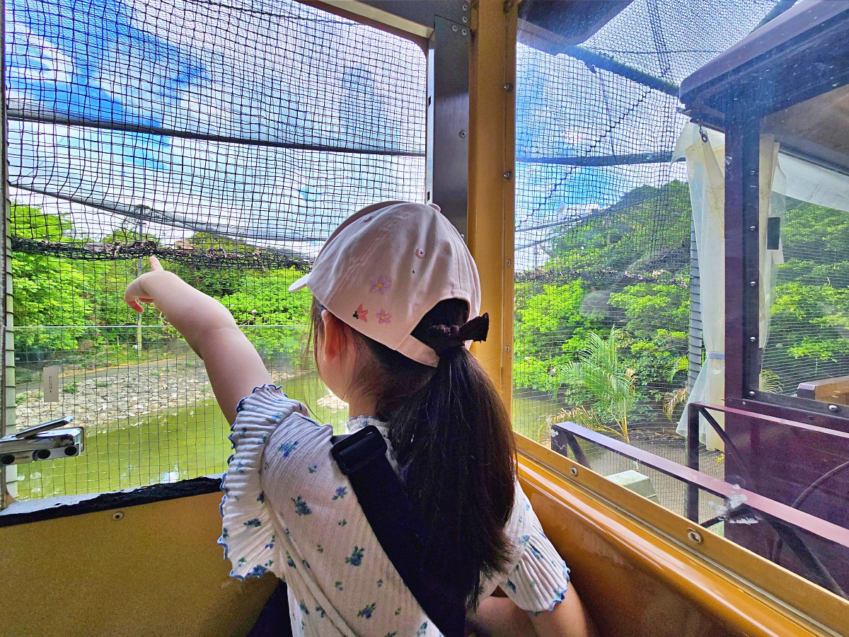 沖繩親子景點推薦｜名護自然動植物公園＆小火車體驗優惠票價哪裡買？