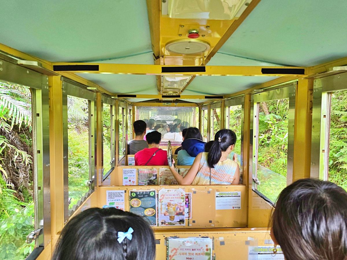 沖繩親子景點推薦｜名護自然動植物公園＆小火車體驗優惠票價哪裡買？