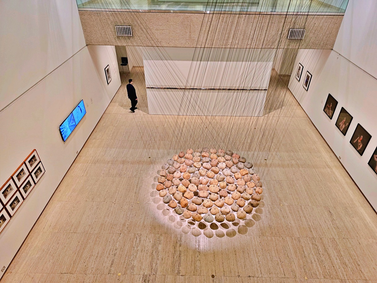 雪梨美術館「新南威爾斯藝術」免費參觀、交通方式與必看展區完整介紹