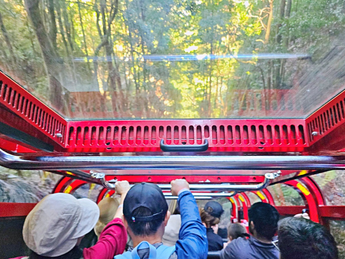藍山國家公園一日遊｜三姐妹岩、回音角、觀景纜車、Leura Village 全攻略（優惠套票）