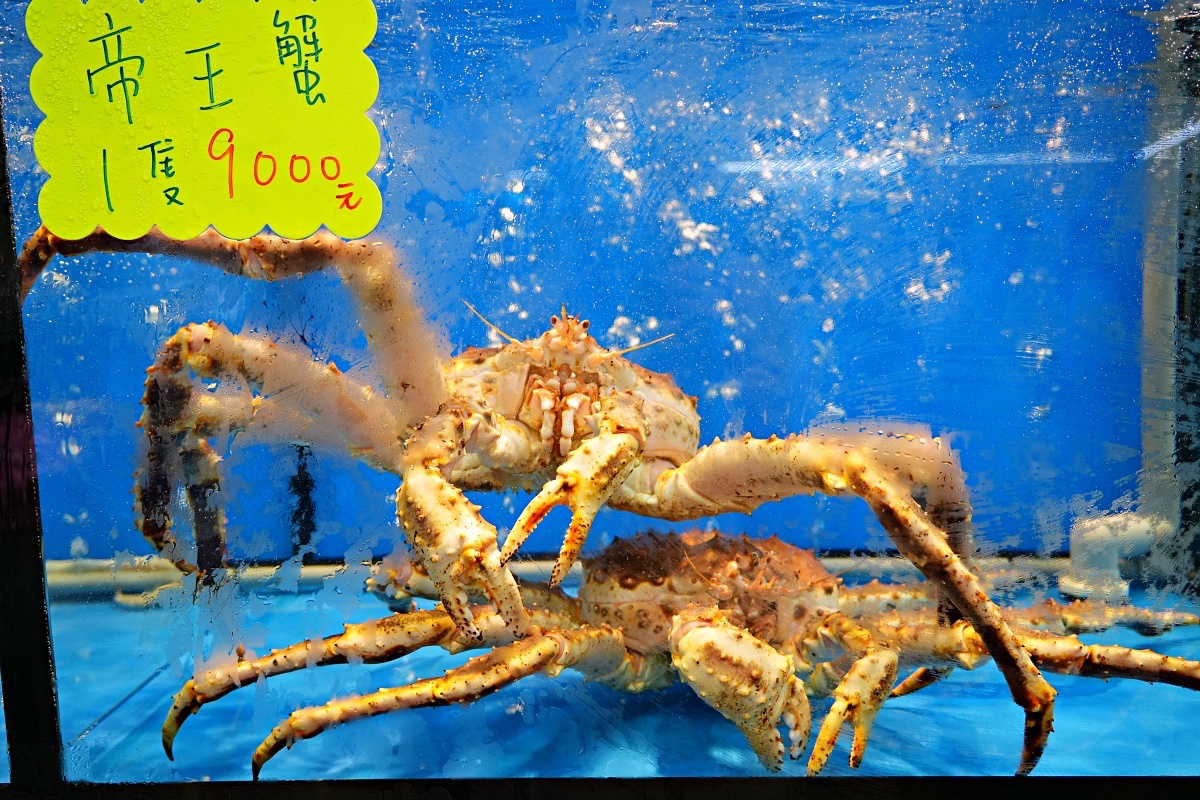 鮮滿樓海鮮料理｜萬里海鮮餐廳推薦、帝王蟹火鍋烤兩吃超澎湃！不飛北海道也能吃到三角市場級鮮味