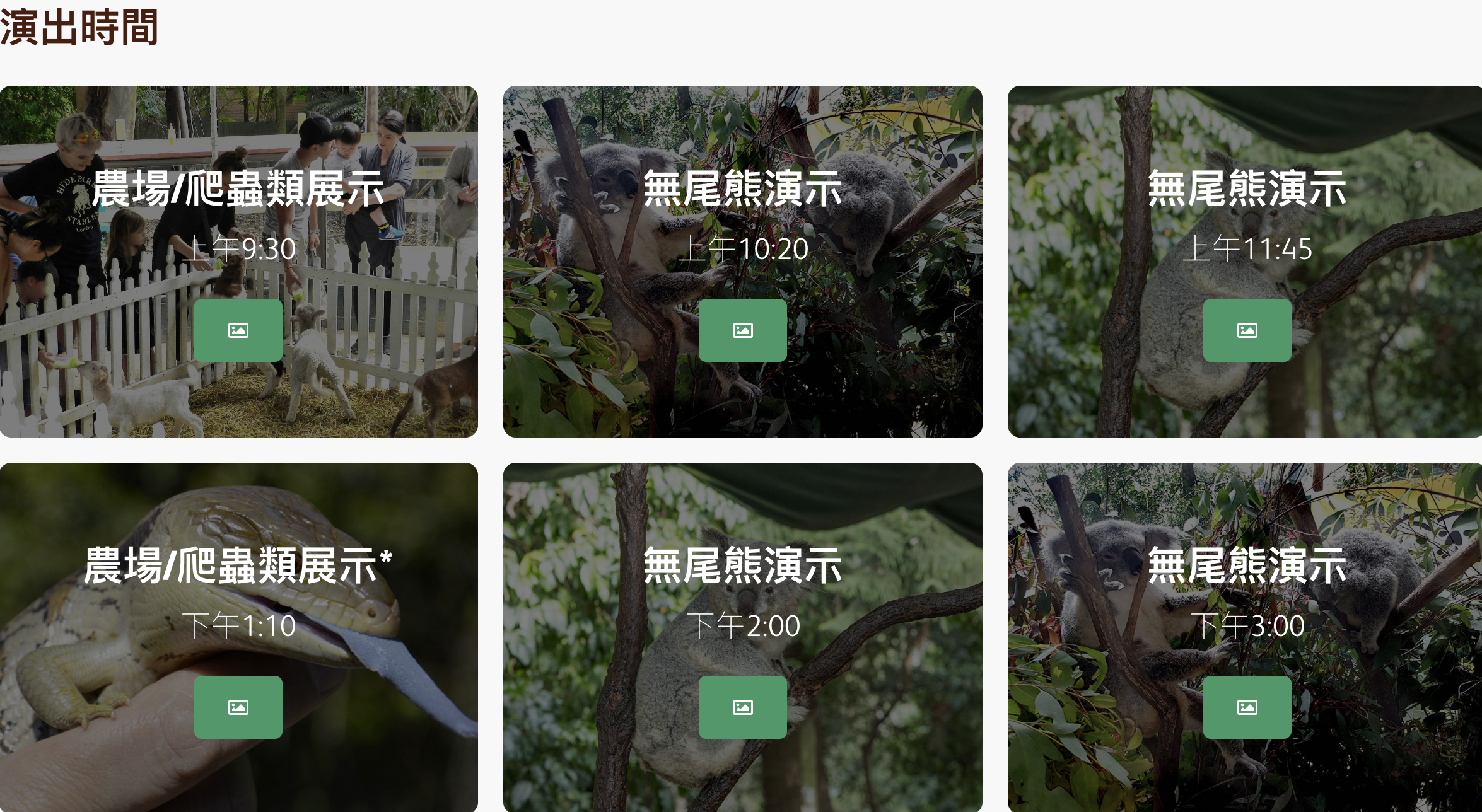 雪梨動物園攻略|Koala Park近距離與無尾熊合照、餵袋鼠超療癒!雪梨親子景點推薦 雪梨動物園攻略|Koala Park近距離與無尾熊合照、餵袋鼠超療癒!雪梨親子景點推薦