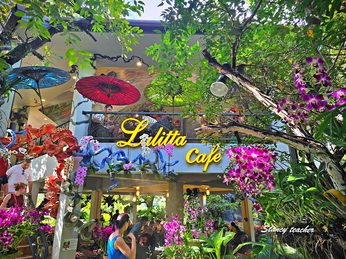【清萊咖啡廳推薦】Lalita Café 仙境咖啡廳|森林系光束美拍點、門票、營業時間、交通全攻略(最新2025) 【清萊咖啡廳推薦】Lalita Café 仙境咖啡廳|森林系光束美拍點、門票、營業時間、交通全攻略(最新2025)